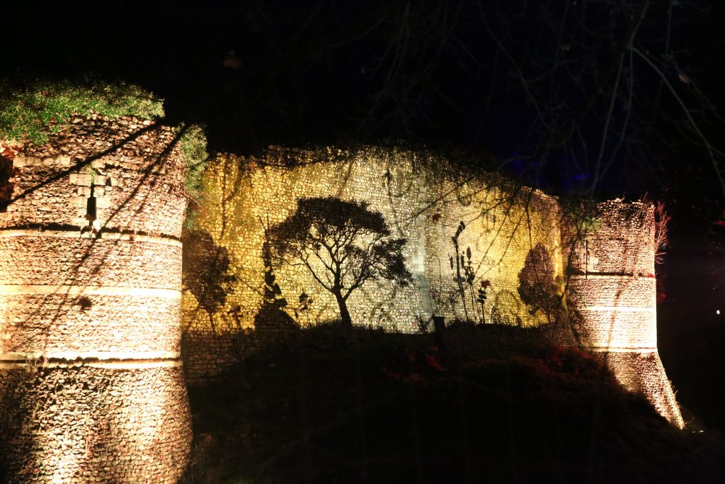 2022 12 Arboreteum En Lumière Harcourt Spectaculaires (61) Min