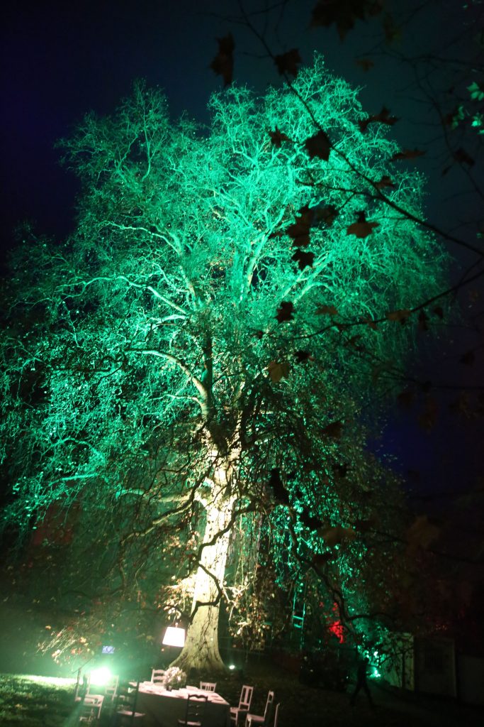 2022 12 Arboreteum En Lumière Harcourt Spectaculaires (65) Min