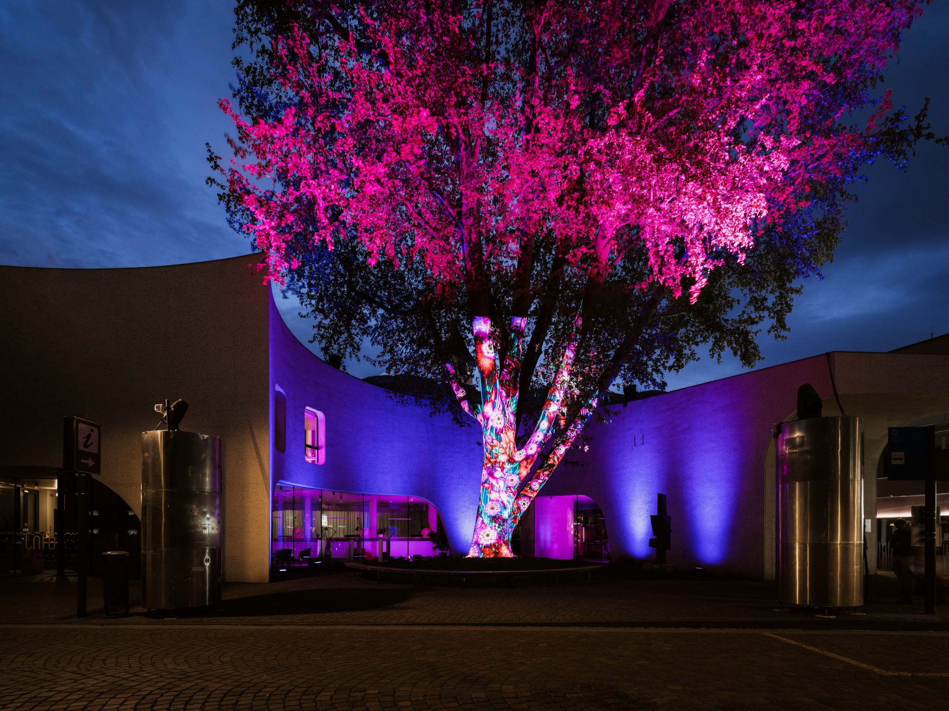 Wlf 2023 The Great Platanus By Spectaculaires (c) Brixen Tourismus Matthias Gasser