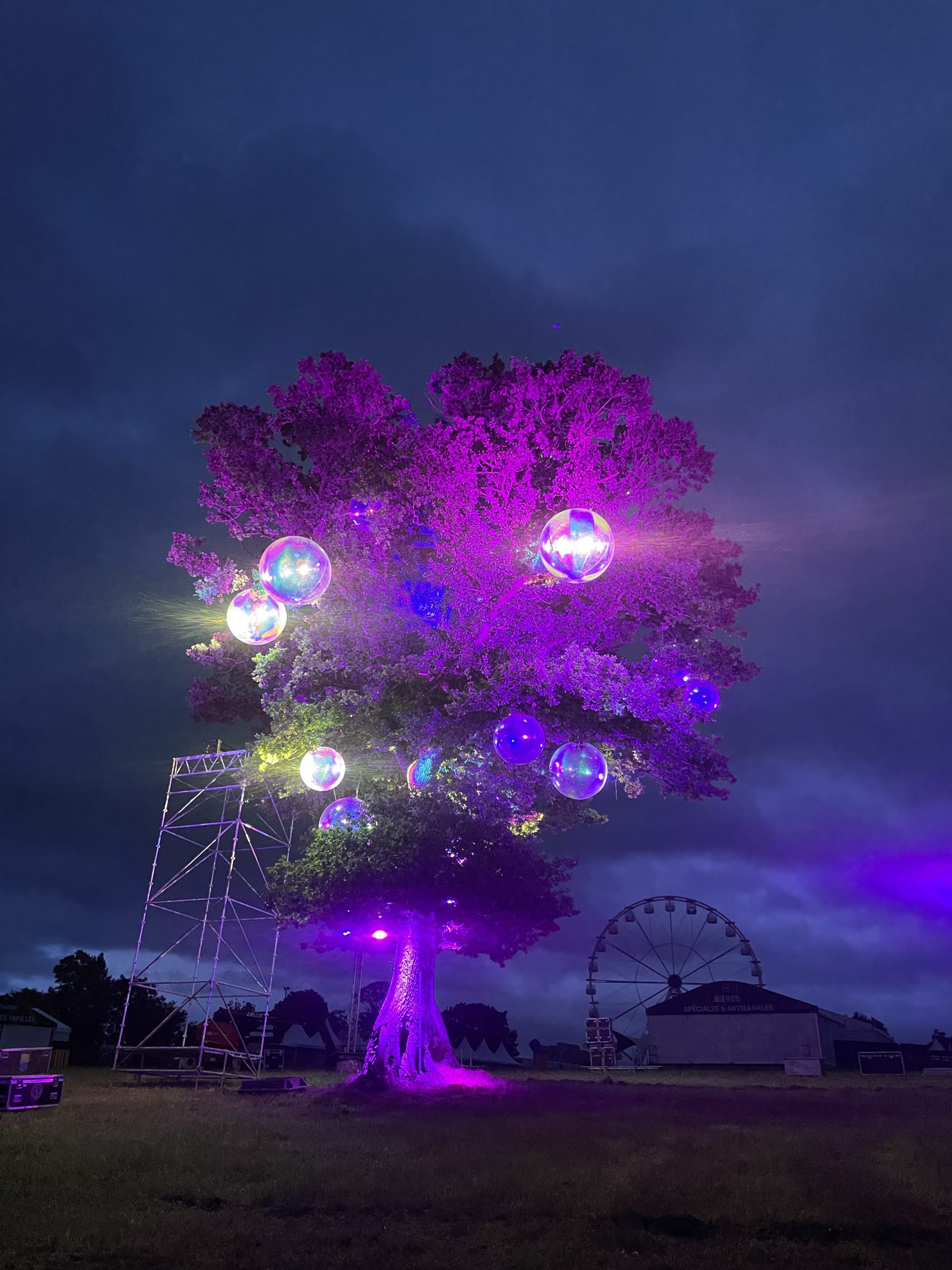 Festival Papillons De Nuit