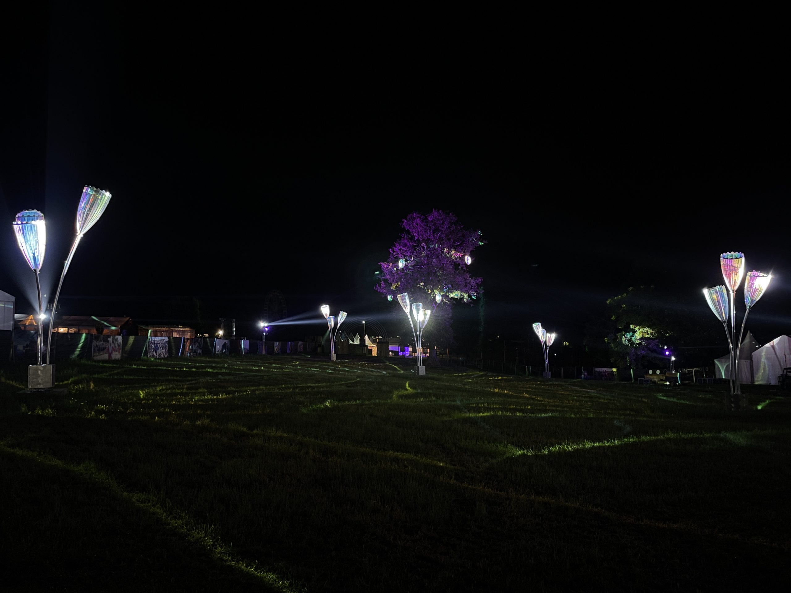 Festival Papillons De Nuit